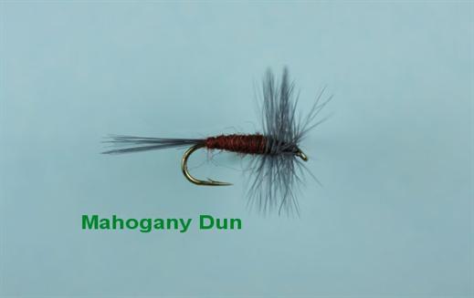 Mahogany Dun