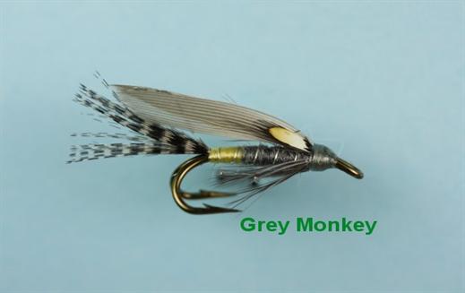 Grey Monkey JC