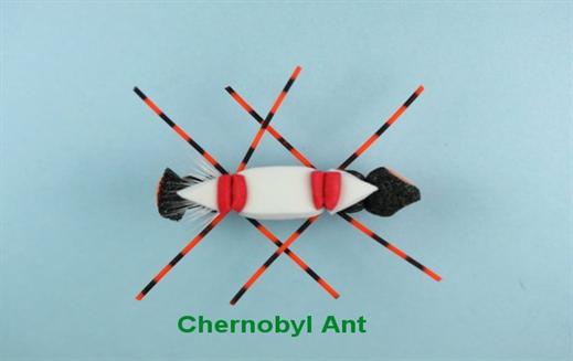 Chernobyl Ant