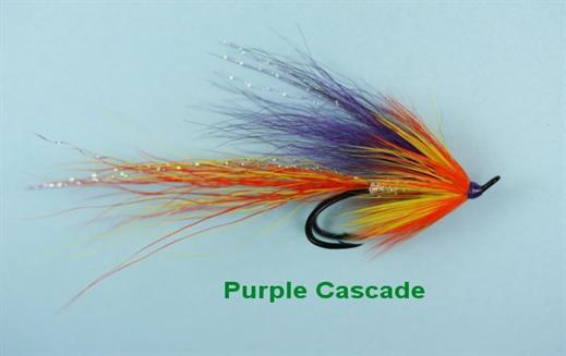 Purple Cascade