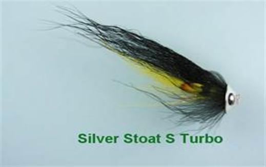Silver Stoat S Turbo