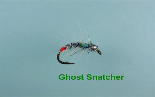 Ghost Snatcher
