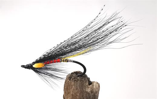 Executioner Salmon Single