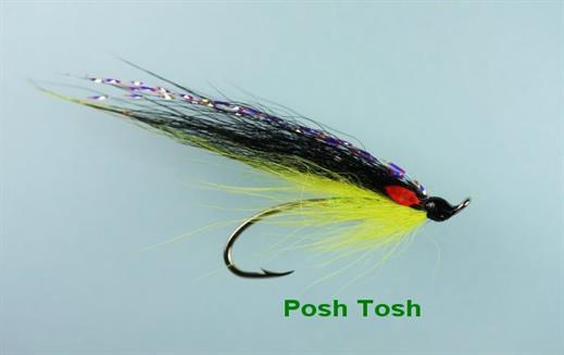 Posh Tosh Single