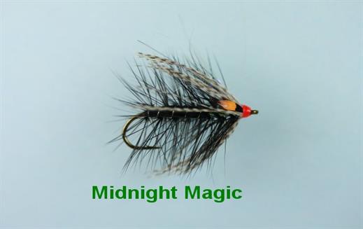 Midnight Magic JC Single