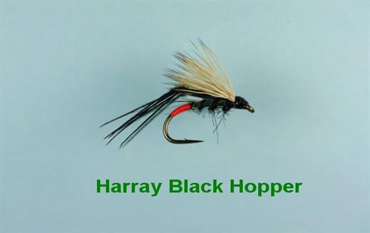 Harray Black Hopper