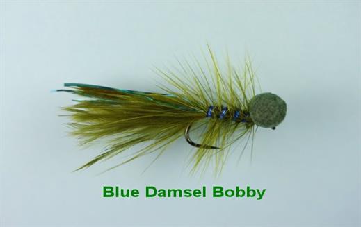 Blue Damsel Booby