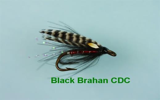 Brahan CDC JC Double