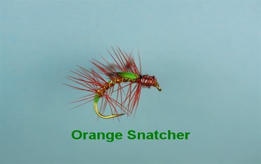 Orange Snatcher JC