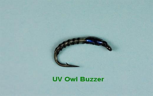 UV Owl Buzzer