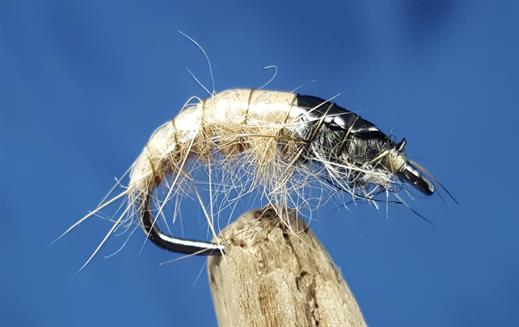 Czech Natural Bug