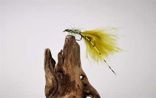 Flexi Olive Damsel