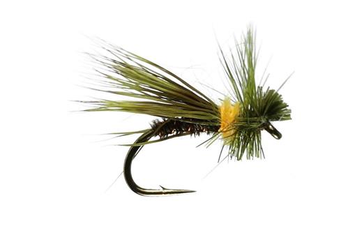 Olive Drop Sedge