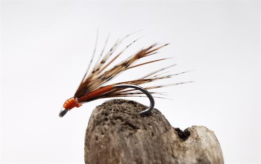 Partridge and Orange Spider