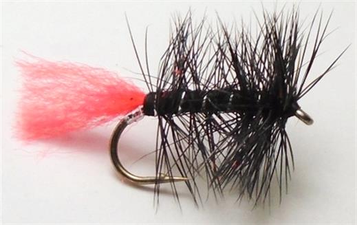 Black Zulu Dry