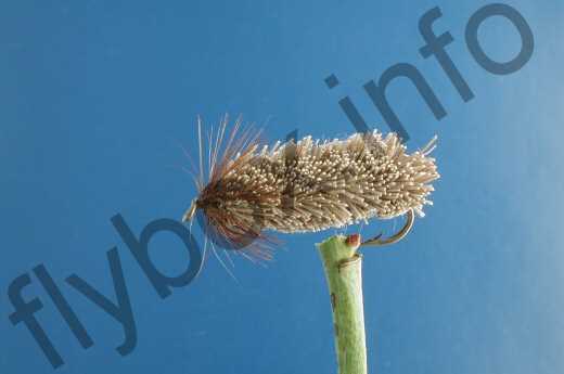 Clipped Hair Sedge