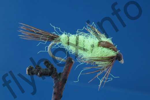 Fluorescent Green Damsel Nymph