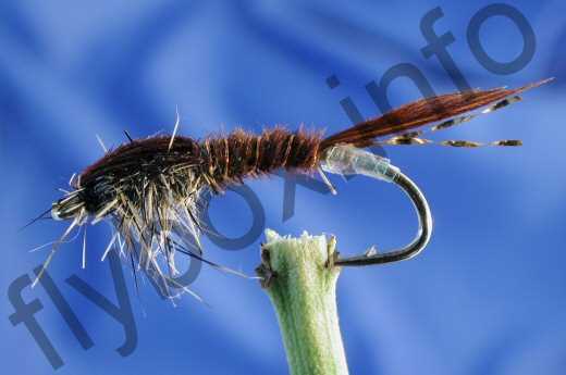 Morgans Pheasant Tail