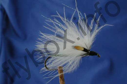 White Marabou