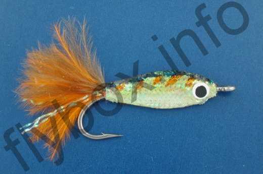 Little Gem Minnow Amber