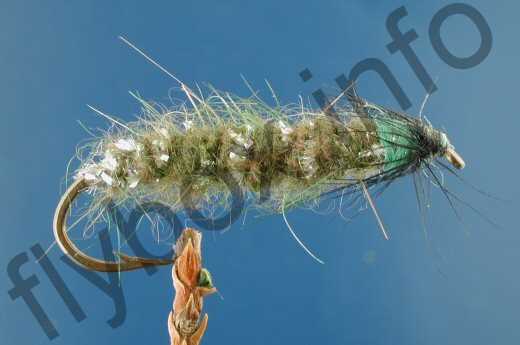 Bottom Caddis