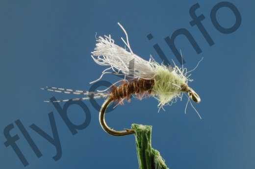 PMD Transitional Emerger