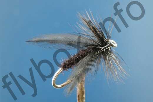 Black Delta Caddis