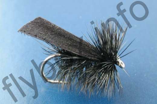 Black Sedge