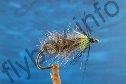 Caddis Larva