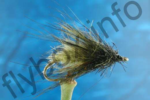 Hairy Olive Caddis Larva