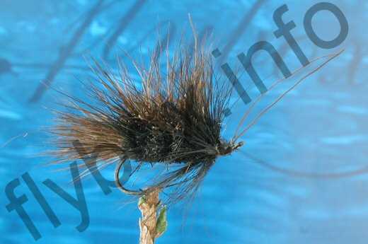 Hairy Black Sedge