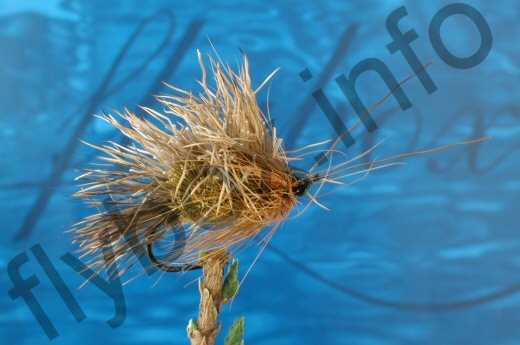 Hairy Green Sedge