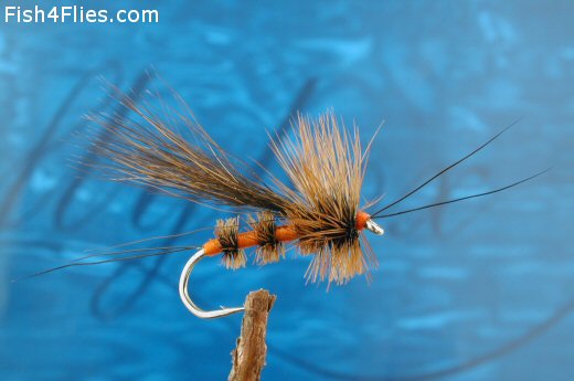 Bird's Stonefly Adult Fly - Fishing Flies with Fish4Flies Europe