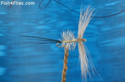 Duncans Mayfly Spinner