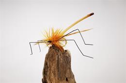 Mandy's Daddy Longlegs