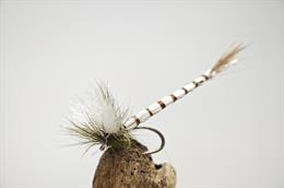 Stillborn Mayfly Cripple