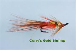 Irish Curry's Gold JC