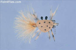 Feather Leg Crab Tan