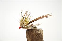 French Partridge Mayfly