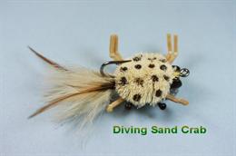 Diving Sand Crab