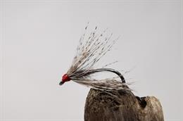 Hare's and Partridge Spider