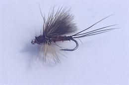 Hatchback Mahongany Dun