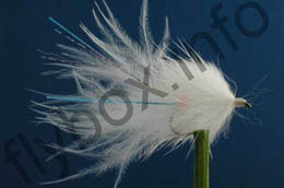 Stewart's Millionaire Taddy White