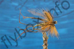Raffia Daddy Longlegs