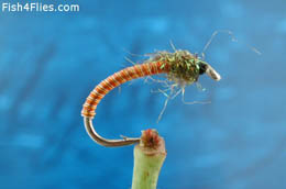 Vekeman's Orange Buzzer