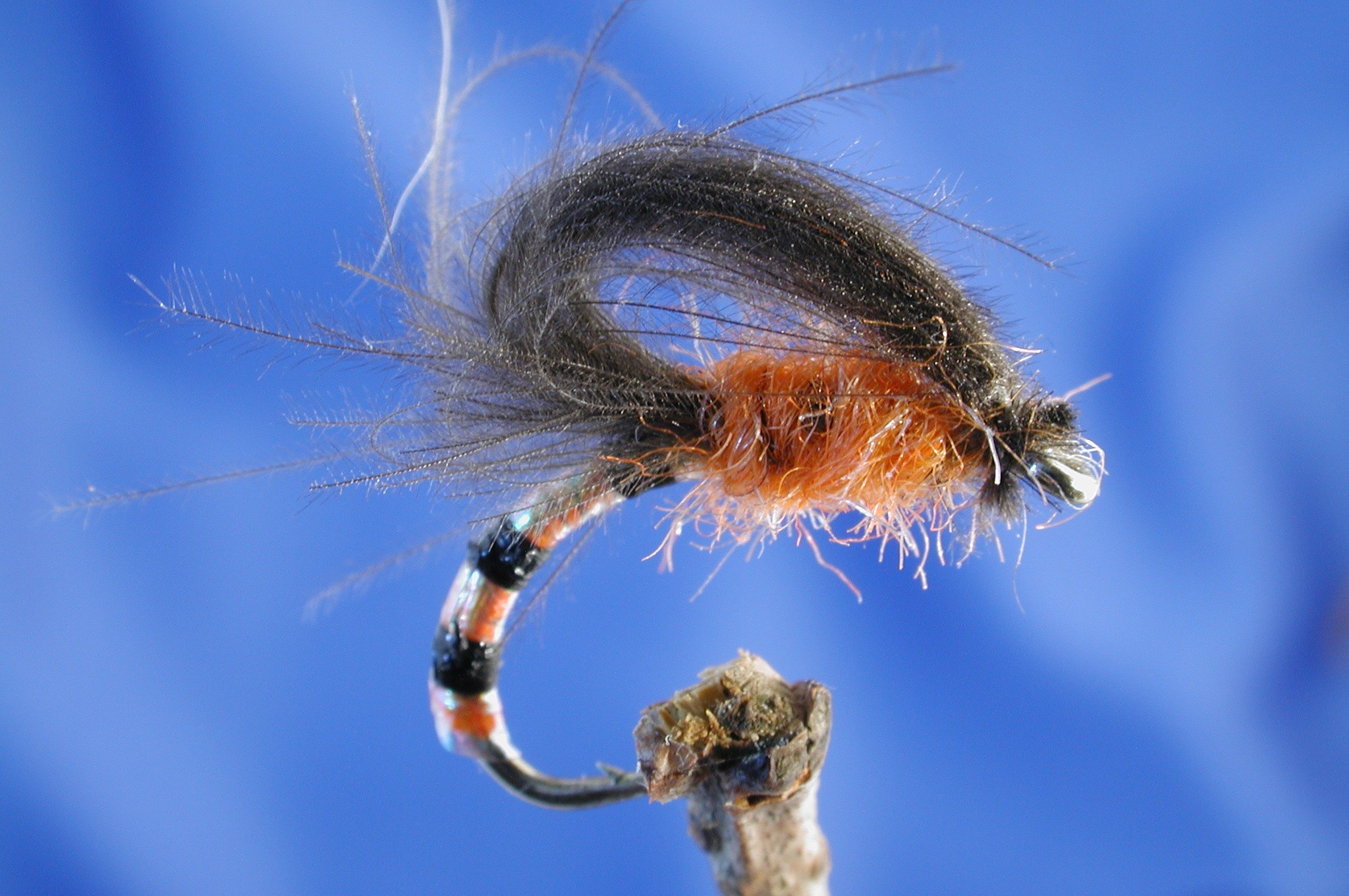 Morgans CDC Loop Wing Buzzer, Orange