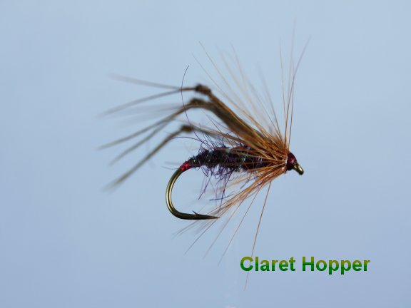 Claret Hackled Hopper