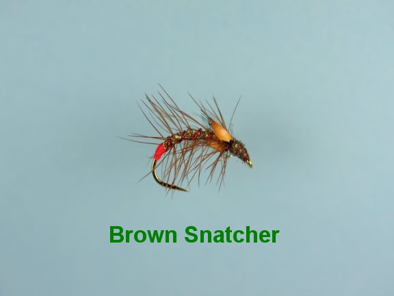 Brown Snatcher JC