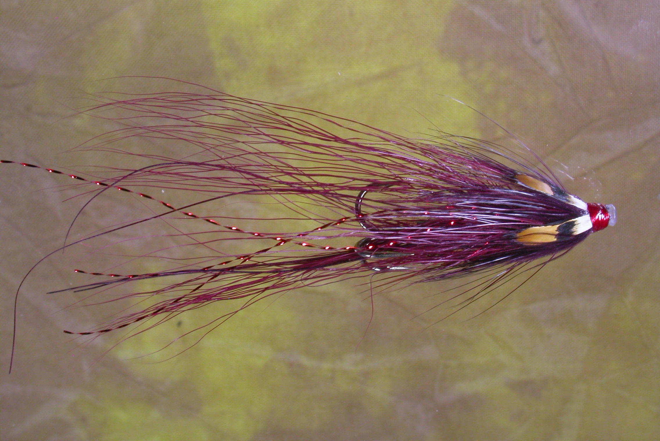 Pot Belly Pig Mirage JC