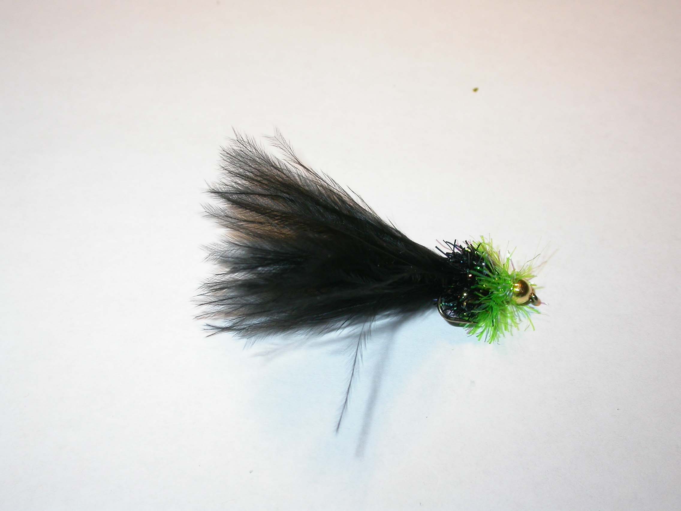 Fritz Damsel Irish Leech GH